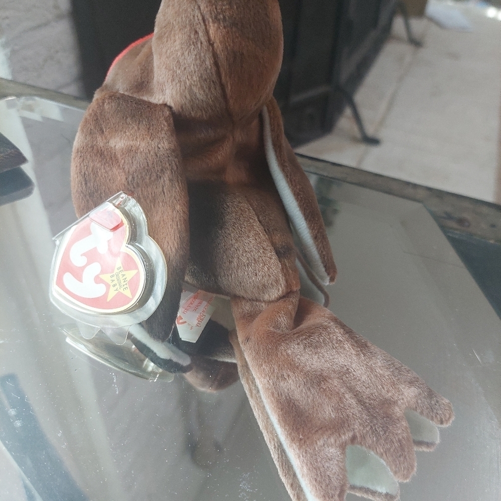 RARE Early the Robin TY Beanie Baby - Collectors find- 1997 - Picture 9 of 11